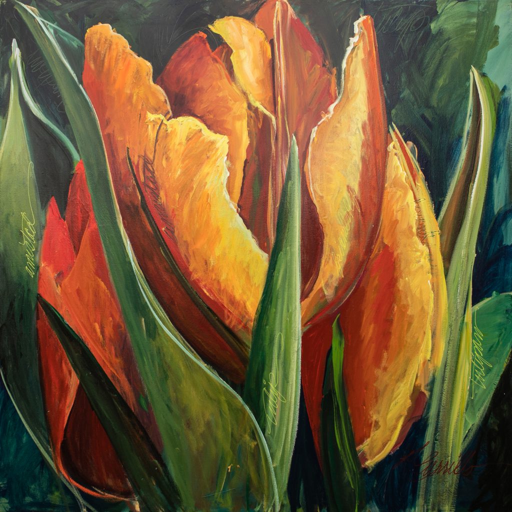 Pasitos de Luz
