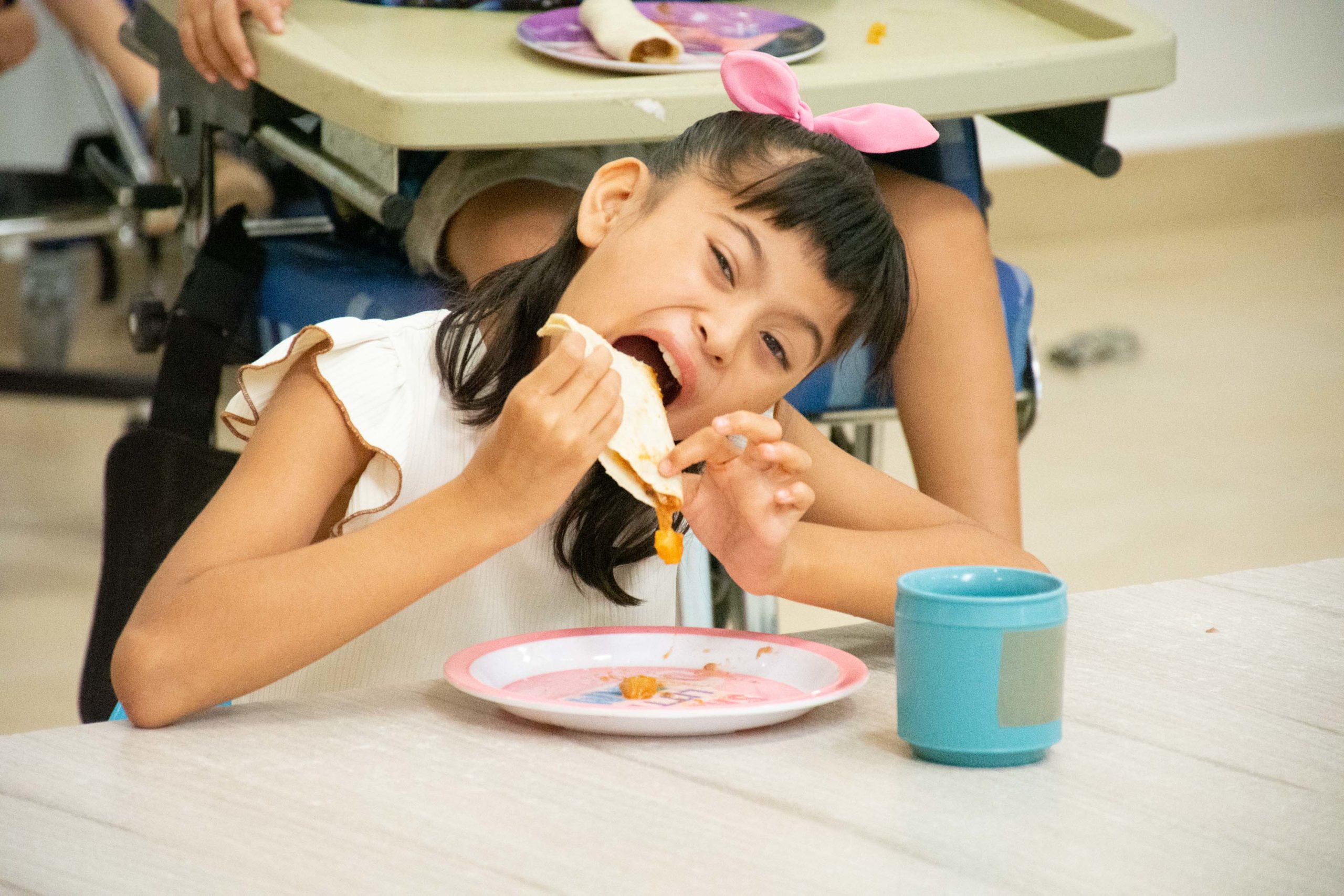 Nutricion Pasitos de Luz alimentacion Pasitos de Luz donar