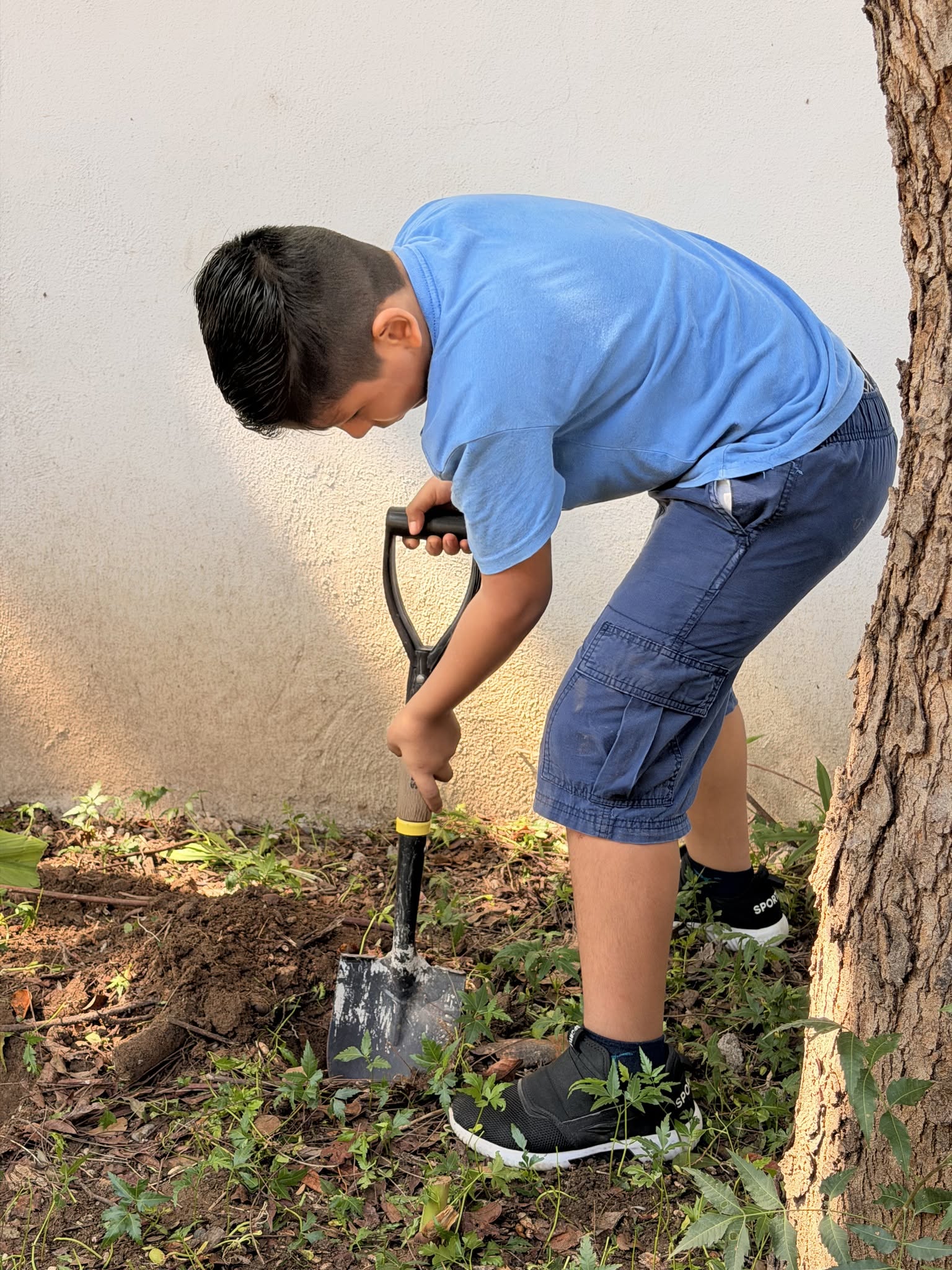 Niño en Pasitos de Luz