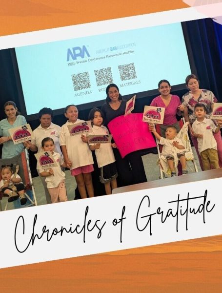 American Bar Association Pasitos de Luz ABA ERR volunteer visit Pasitos